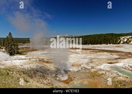 geyser in the Norros Basin in the Yellowstone National Park