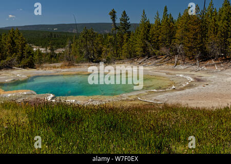 geyser in the Norros Basin in the Yellowstone National Park