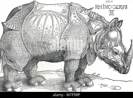 'A Rhinoceros', 1515, (1906). Artist: Albrecht Durer. Stock Photo