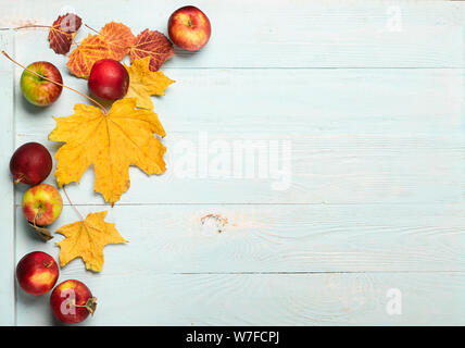 Autumn yellow dry maple leaves and red ripe apples on a blue wooden background. Flat layout. Copy space. Autumn concept. Stock Photo