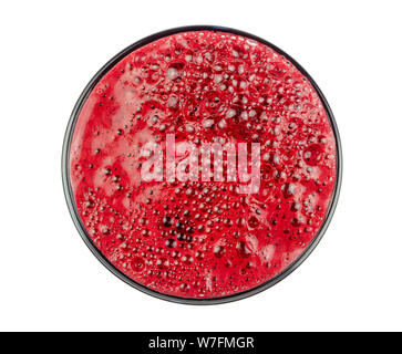 Fresh juice just made from beetroot – a glass shot from bird-eye-perspective – isolated on white background Stock Photo
