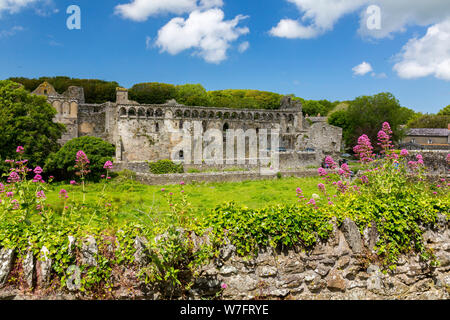 The ruins of the historic 13th century Bishop's Palace in St Davids, Pembrokeshire, Wales, UK Stock Photo