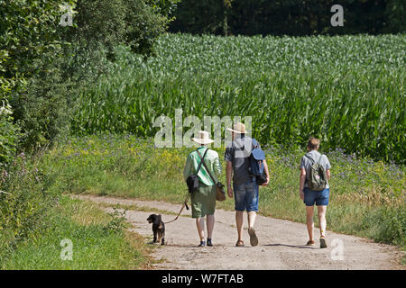 hiking tour to Bungsberg near Schönwalde, Schleswig-Holstein, Germany Stock Photo