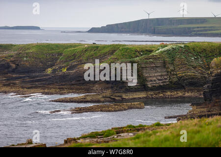 Mull Head Nature reserve on Mainland Orkney, Scotland on an overcast day Stock Photo