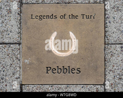 Legends of the Turf Newmarket - Newmarket's 'Walk of Fame' - commemorative paving slabs laid in Newmarket High Street. Pebbles, racehorse. Stock Photo