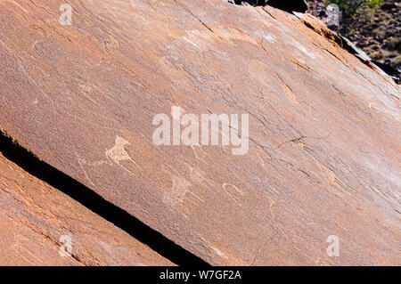 6000 year old rock carvings of animals at Twyfelfontein, Namibia Stock Photo