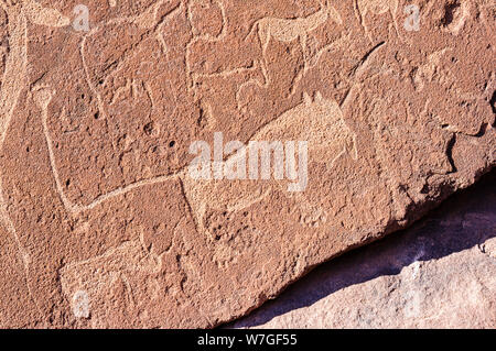 6000 year old rock carvings of animals at Twyfelfontein, Namibia Stock Photo