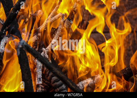 Burning wood - fire with big orange flames Stock Photo