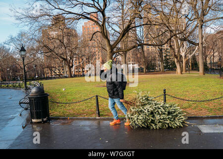 A man dressed in a coat drags a small pine tree to decorate it for Christmas in New York City - Young tourist talking on the phone Stock Photo