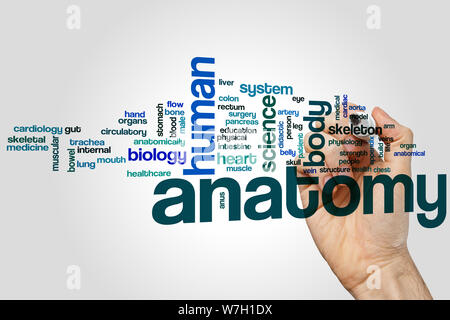 Anatomy word cloud concept Stock Photo