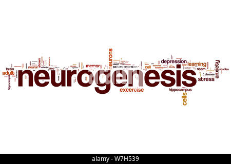 Neurogenesis word cloud Stock Photo - Alamy