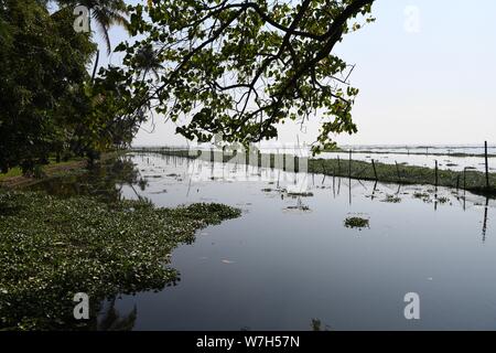 View towards lake at Coconut Lagoon resort. Kottayam - Kumarakom Rd, Kavanattinkara, Kumarakom, Kerala 686563, India Stock Photo