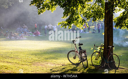 Rotterdam, Netherlands. June 29, 2019. Picnic on the grass sun behind the trees foliage, summer afternoon, Stock Photo