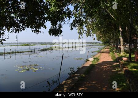 View towards lake at Coconut Lagoon resort. Kottayam - Kumarakom Rd, Kavanattinkara, Kumarakom, Kerala 686563, India Stock Photo