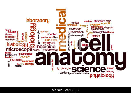 Cell anatomy word cloud concept Stock Photo