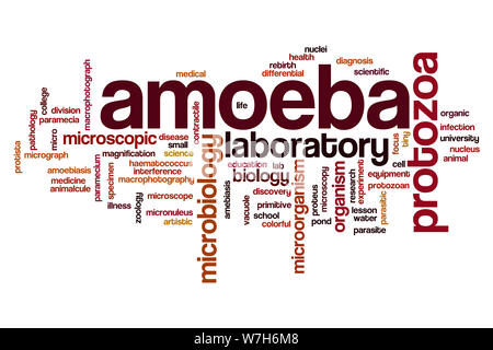 Amoeba word cloud concept Stock Photo