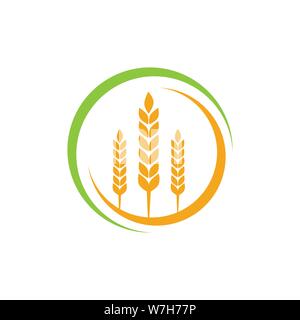 Wheat agriculture and farming vector logo design template illustration Stock Vector