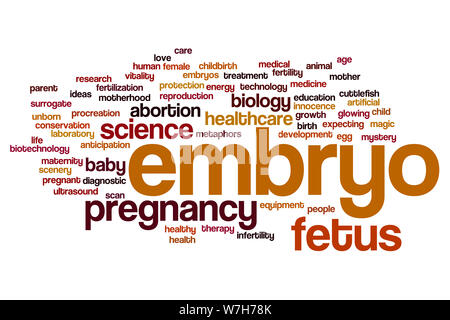 Embryo word cloud concept Stock Photo