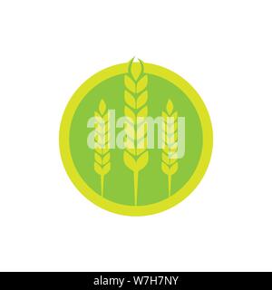 Wheat agriculture and farming vector logo design template illustration Stock Vector