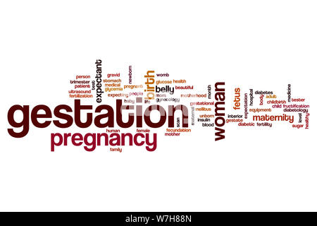 Gestation word cloud concept Stock Photo