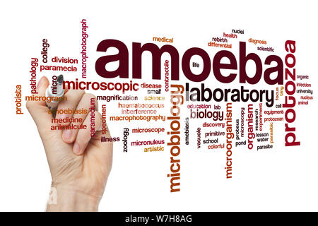 Amoeba word cloud concept Stock Photo