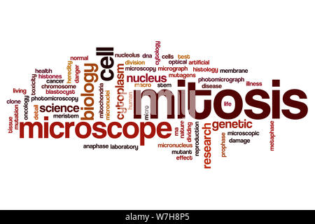 Mitosis word cloud concept Stock Photo