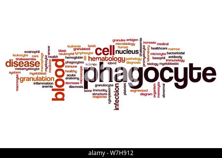 Phagocyte word cloud concept Stock Photo