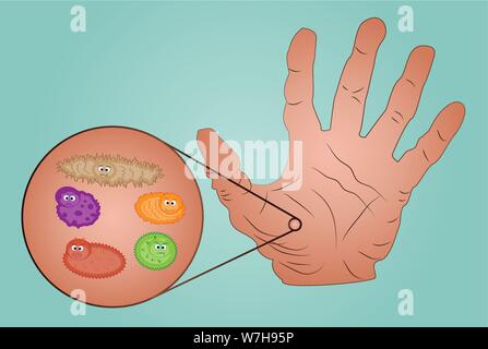 Image of dirty hand and the germs in the magnifying Stock Vector