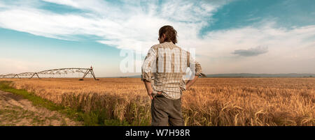 Worried farmer standing in ripe cultivated barley field while the strong wind is blowing, hoping for a better weather Stock Photo