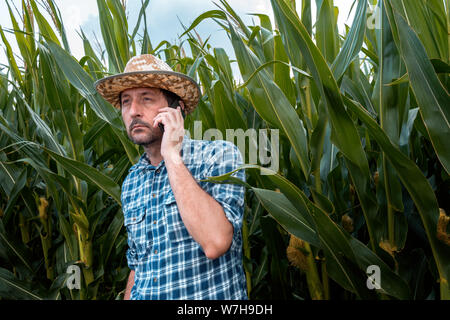 Handsome farmer talking on mobile phone in corn field. Farm worker with straw hat and plaid shirt during outdoor telephone conversation. Stock Photo