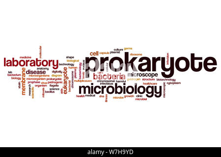 Prokaryote word cloud concept Stock Photo