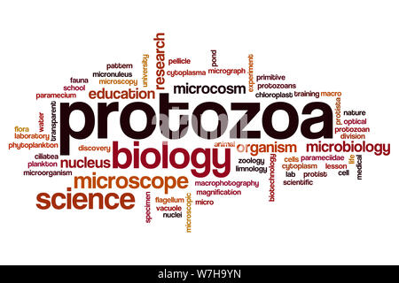 Protozoa word cloud concept Stock Photo