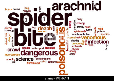 Spider bite word cloud concept Stock Photo