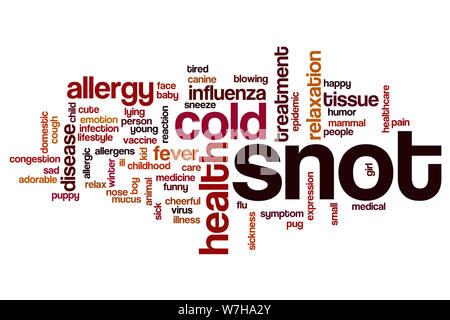 Snot word cloud concept Stock Photo