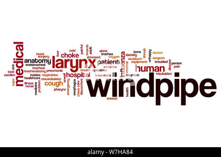 Windpipe word cloud concept Stock Photo