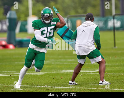 New York Jets' Doug Middleton (36), -Brandon Copeland (51) and Darron ...