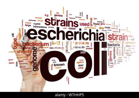 Escherichia coli word cloud Stock Photo