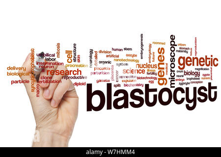 Blastocyst word cloud concept Stock Photo