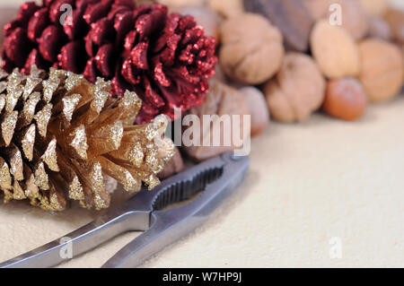 nuts in shells with pine cones Stock Photo