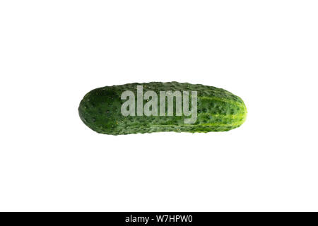 Isolated green fresh cucumber. whole cucumber isolated on white background. Stock Photo