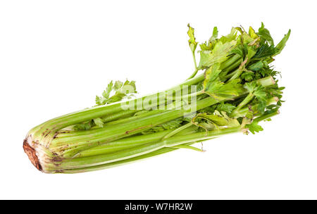 fresh celery stalk isolated on white background Stock Photo