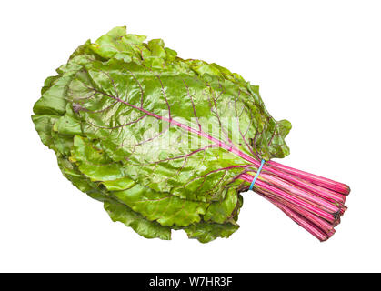 bunch of wet beet greens isolated on white backgrounds Stock Photo