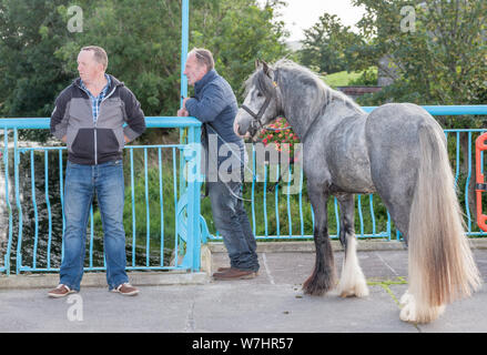 Dunmanway, Cork, Ireland. 06th August, 2019. Tow visitors at the Ballabuidhe Horse Fair that is held every August in Dunmanway, Co. Cork, Ireland. - Credit; David Creedon/Alamy Live News Stock Photo