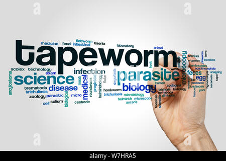 Tapeworm word cloud concept Stock Photo