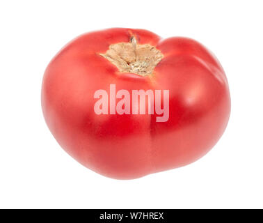 fresh large red bulls heart tomato isolated on white background Stock Photo