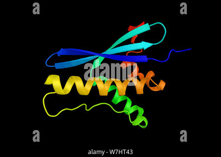 Serine/threonine-protein kinase Sgk3, a phosphoprotein with a PX (phox homology) domain. 3d rendring. Stock Photo