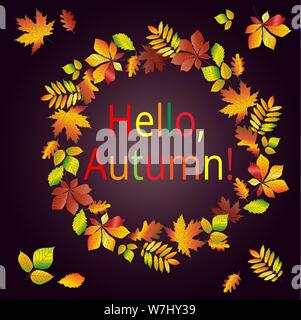 Hello, autumn. Multicolored text in a frame made from autumn maple leaves, oak, chestnut, etc. Postcard, background. Stock Vector