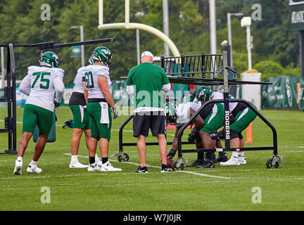 New York Jets offensive line against the New York Giants in the first ...