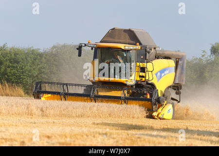 New Holland CX8040 Combine Harvester cutting a field in Swillington,Leeds. Stock Photo