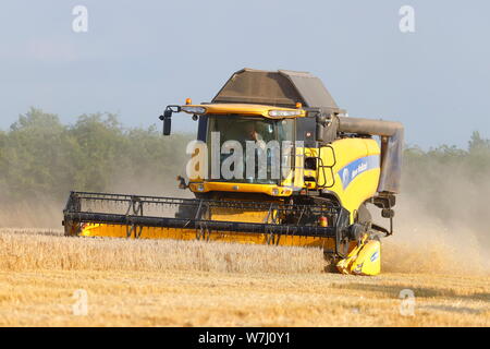 New Holland CX8040 Combine Harvester cutting a field in Swillington,Leeds. Stock Photo